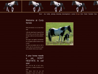 curly-horses.com Webseite Vorschau