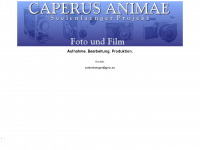 caperus-animae.com Webseite Vorschau