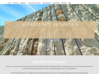 staudtcarrera.ch Webseite Vorschau