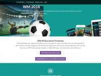 fussball-wm-online.com Webseite Vorschau