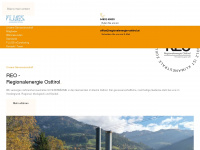 regionalenergie-osttirol.at Webseite Vorschau