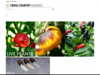 chileplants.com Webseite Vorschau