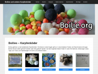 boilie.org Webseite Vorschau