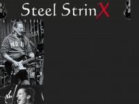 steel-strinx.de Thumbnail