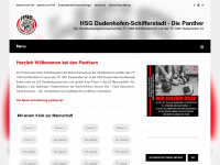 hsg-panther.de Webseite Vorschau