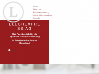 blechexpress-arlesheim.ch Webseite Vorschau