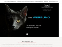 bs-verlag.info Webseite Vorschau