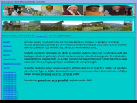 gumeli.com Webseite Vorschau