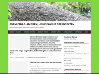 formicidae.ch Webseite Vorschau
