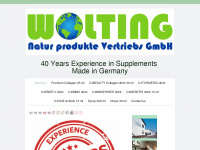 wolting-international.de Thumbnail