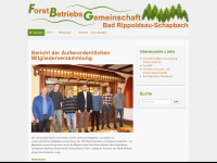 fbg-bad-rippoldsau-schapbach.de Webseite Vorschau