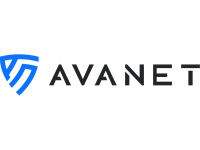 avanet.com Webseite Vorschau