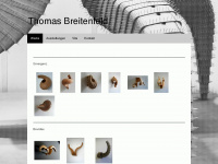 thomas-breitenfeld.com Webseite Vorschau