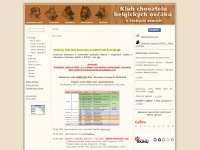 kchbo.com Webseite Vorschau