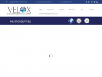 velox-industrieservice.de Webseite Vorschau