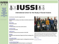 iussi.org Webseite Vorschau