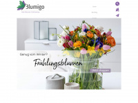 blumigo.de Webseite Vorschau