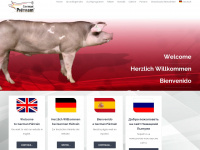 german-pietrain.com Webseite Vorschau