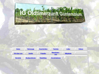 Oldtimerzunft-guntersblum.de