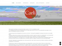 carliwafer.com Webseite Vorschau