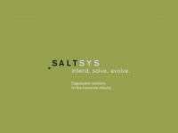 saltsys.com Webseite Vorschau