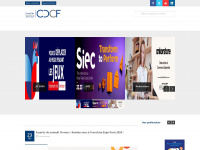 cdcf.com Webseite Vorschau