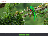 sunbird.tv Webseite Vorschau