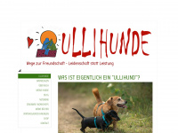 ullihunde.com Webseite Vorschau