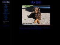 schutzhund.fi Thumbnail