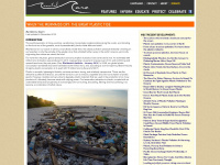 plastic-pollution.org Webseite Vorschau