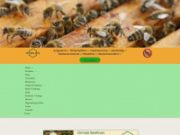 save-our-bees.com Webseite Vorschau