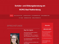 schuelerberatung-borg.at Webseite Vorschau