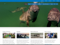marine-mammals.com Webseite Vorschau