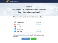 essaystudio.org Webseite Vorschau