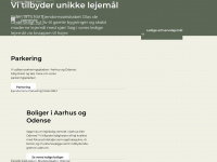 olavdelinde.dk Webseite Vorschau