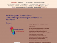 blowerdoor-service.com Webseite Vorschau