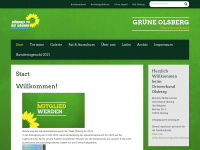gruene-olsberg.de Webseite Vorschau