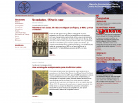 mapuche.info Webseite Vorschau