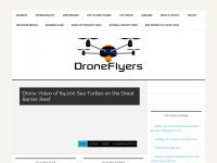 droneflyers.com Thumbnail