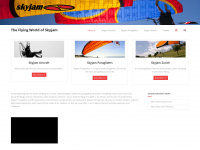 fly-skyjam.com Webseite Vorschau