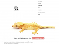 kronengecko.de Webseite Vorschau