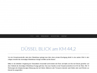 duessel-blick.de Webseite Vorschau