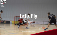 flying-penguins.ch Webseite Vorschau