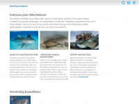bigfishexpeditions.com Webseite Vorschau