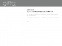 fspielmanngmbh.ch Webseite Vorschau