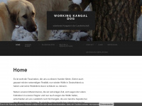 working-kangal-dog.de Webseite Vorschau