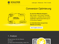 schleyer-conversion.de Webseite Vorschau