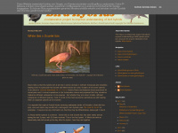 birdhybrids.blogspot.com
