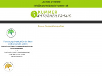 naturheilpraxis-kummer.at Webseite Vorschau