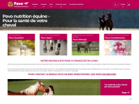 pavo.fr Webseite Vorschau